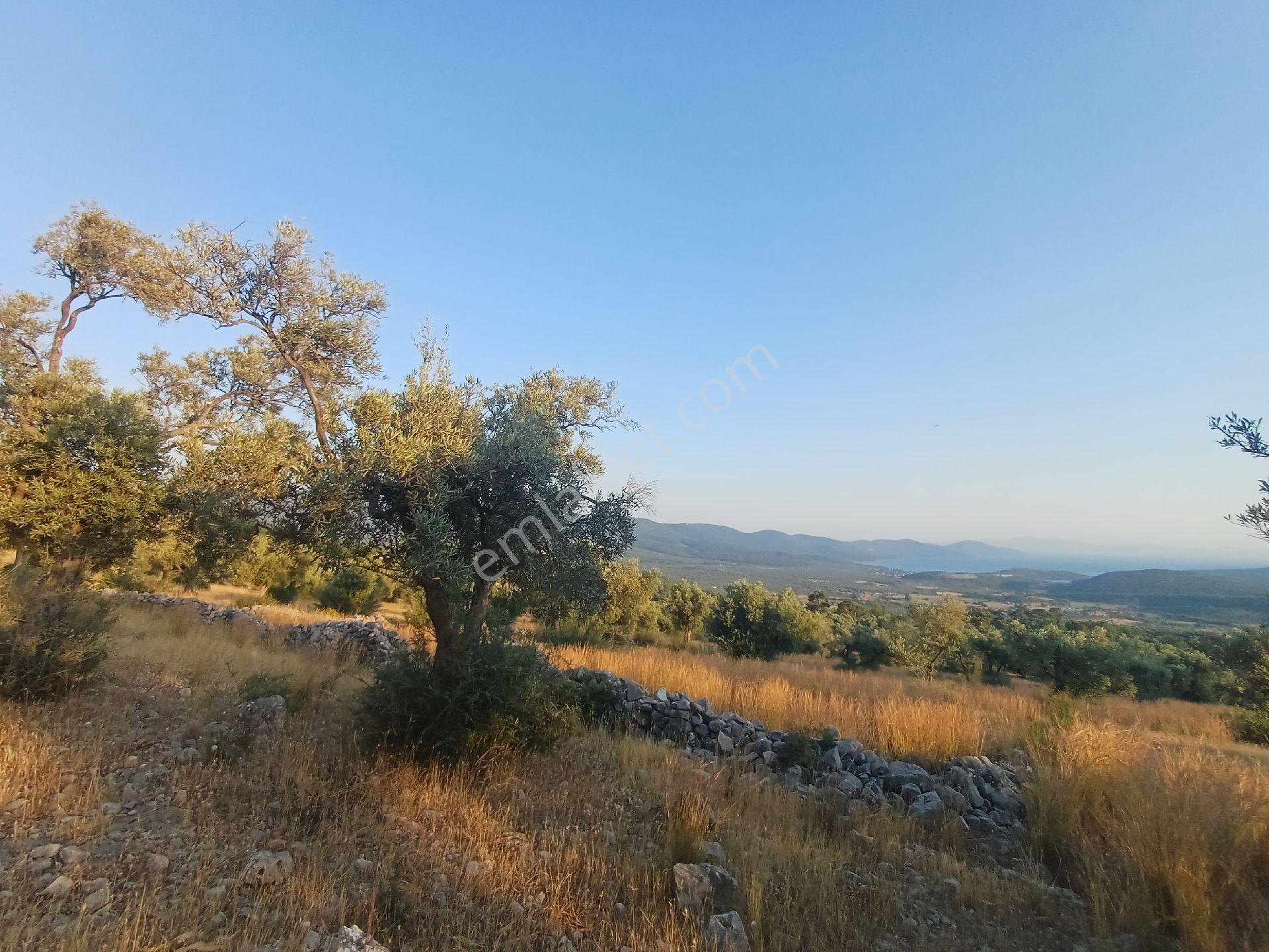 Kazıkli Mahallesi'nde Deniz Manzarali - Görsel 9