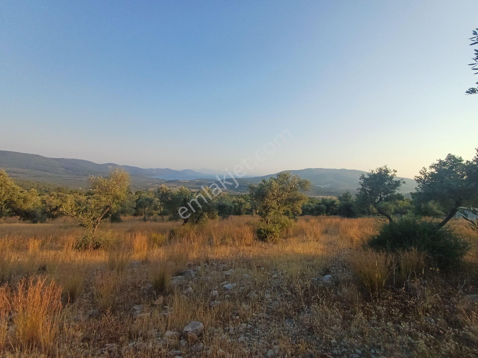Kazıkli Mahallesi'nde Deniz Manzarali - Görsel 13
