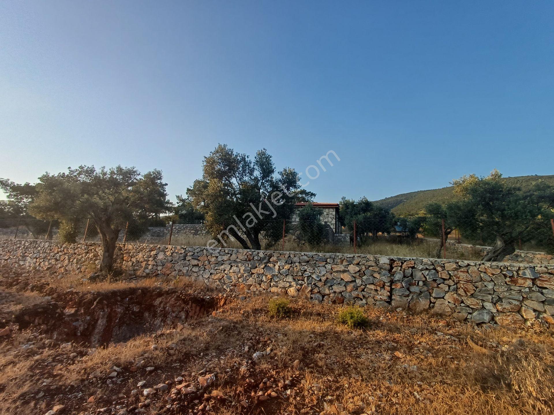 Kazıkli Mahallesi'nde Deniz Manzarali - Görsel 3
