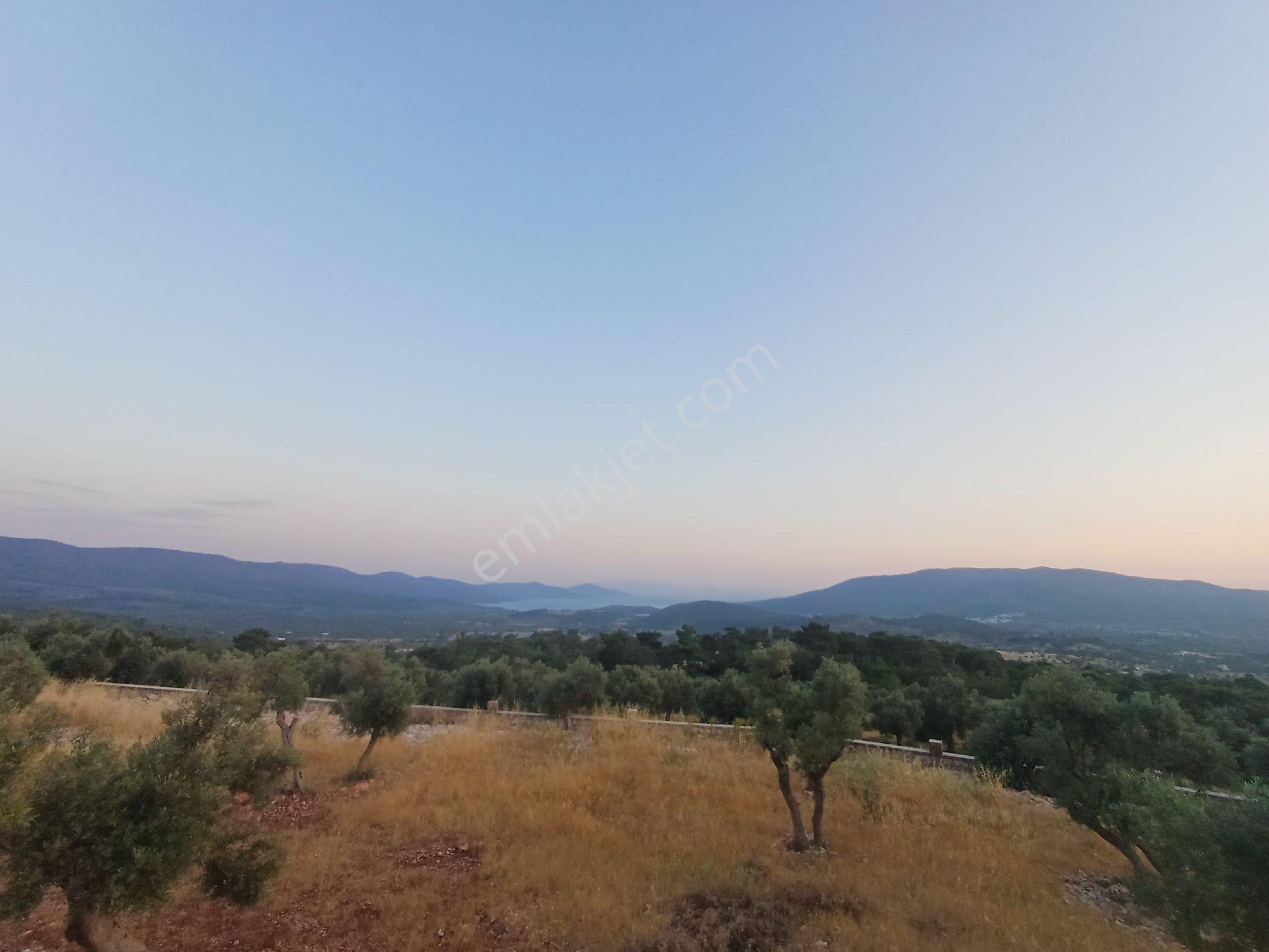 Kazıkli Mahallesi'nde Deniz Manzarali