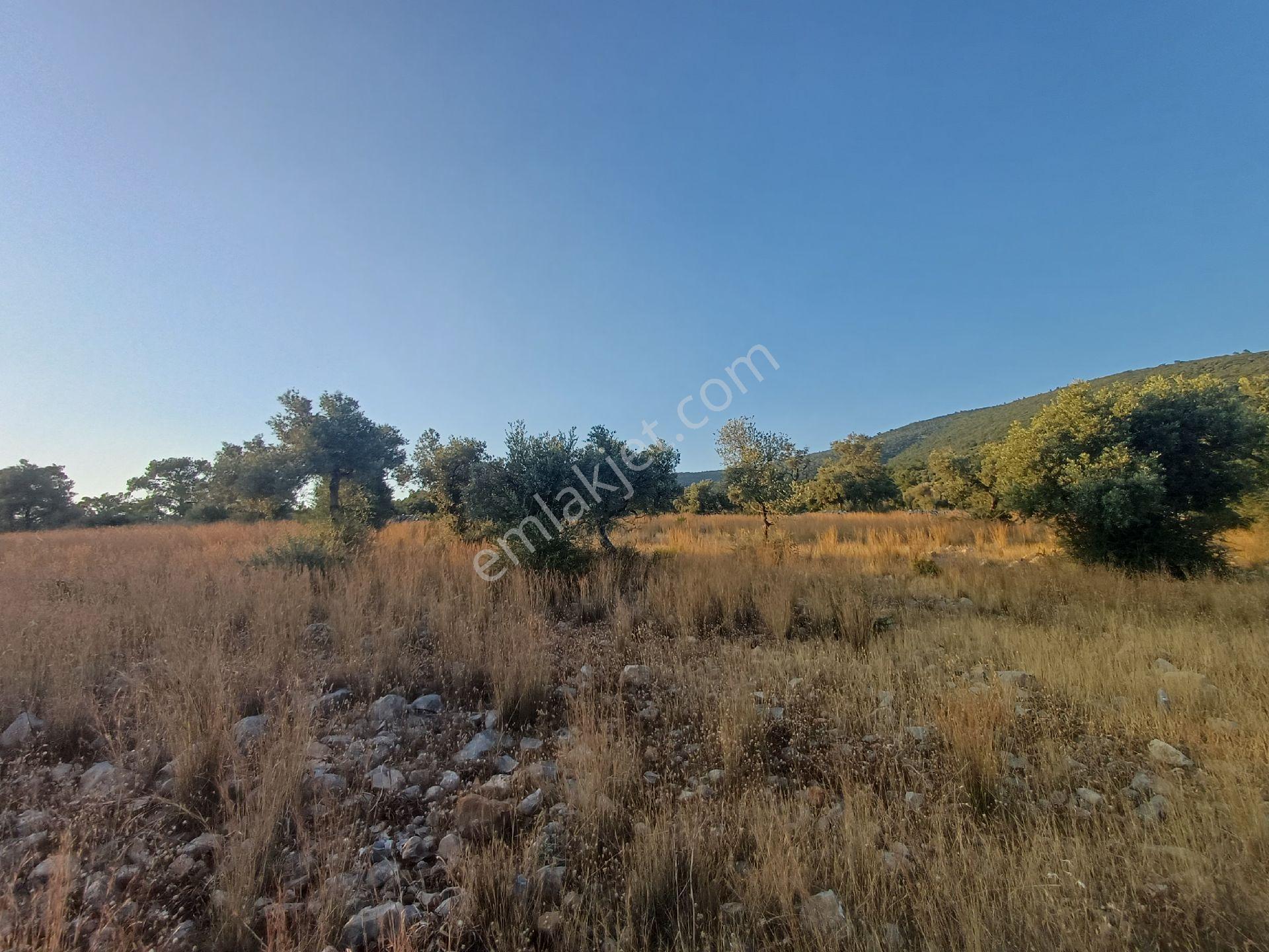 Kazıkli Mahallesi'nde Deniz Manzarali - Görsel 18