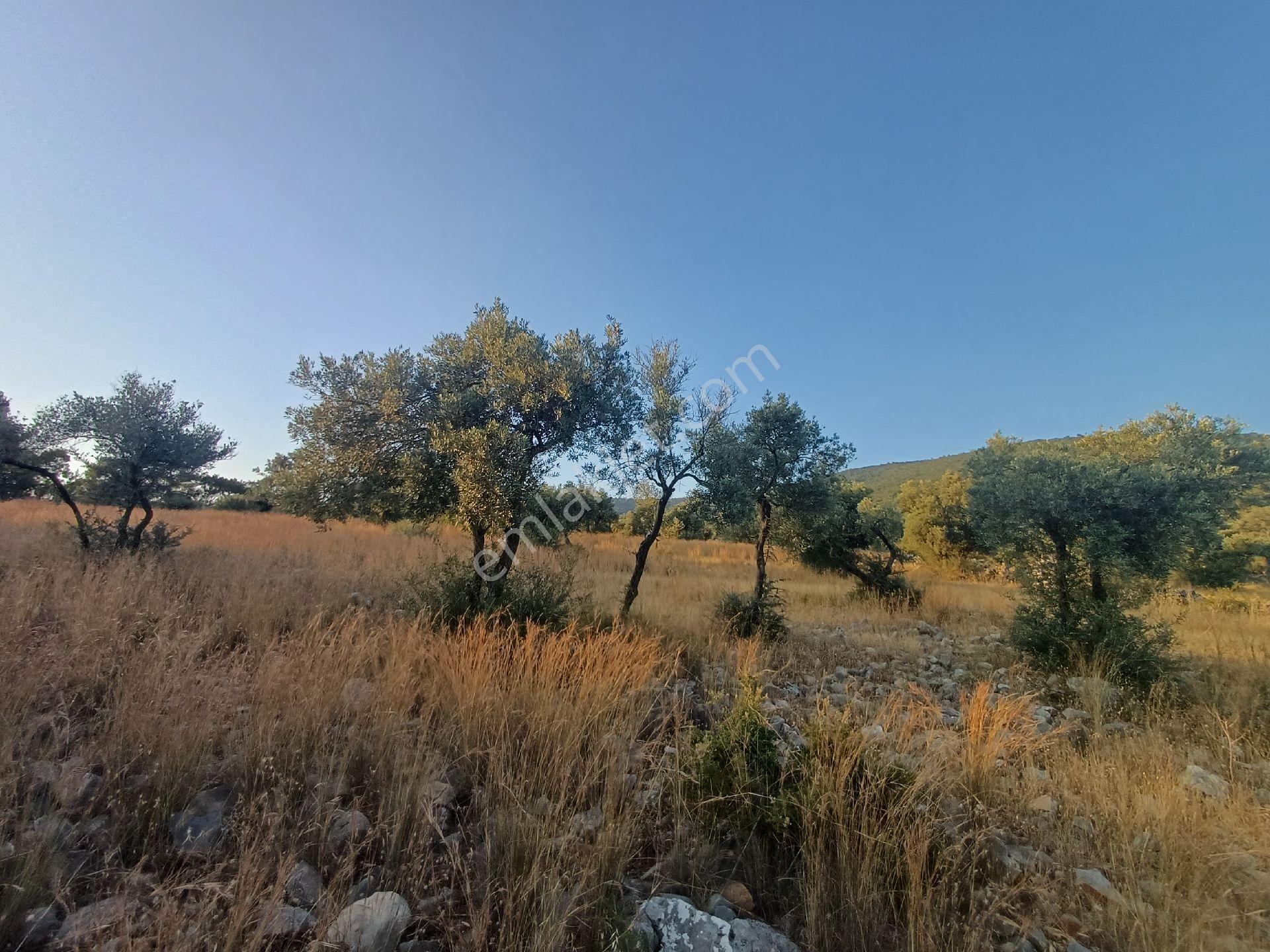 Kazıkli Mahallesi'nde Deniz Manzarali - Görsel 20