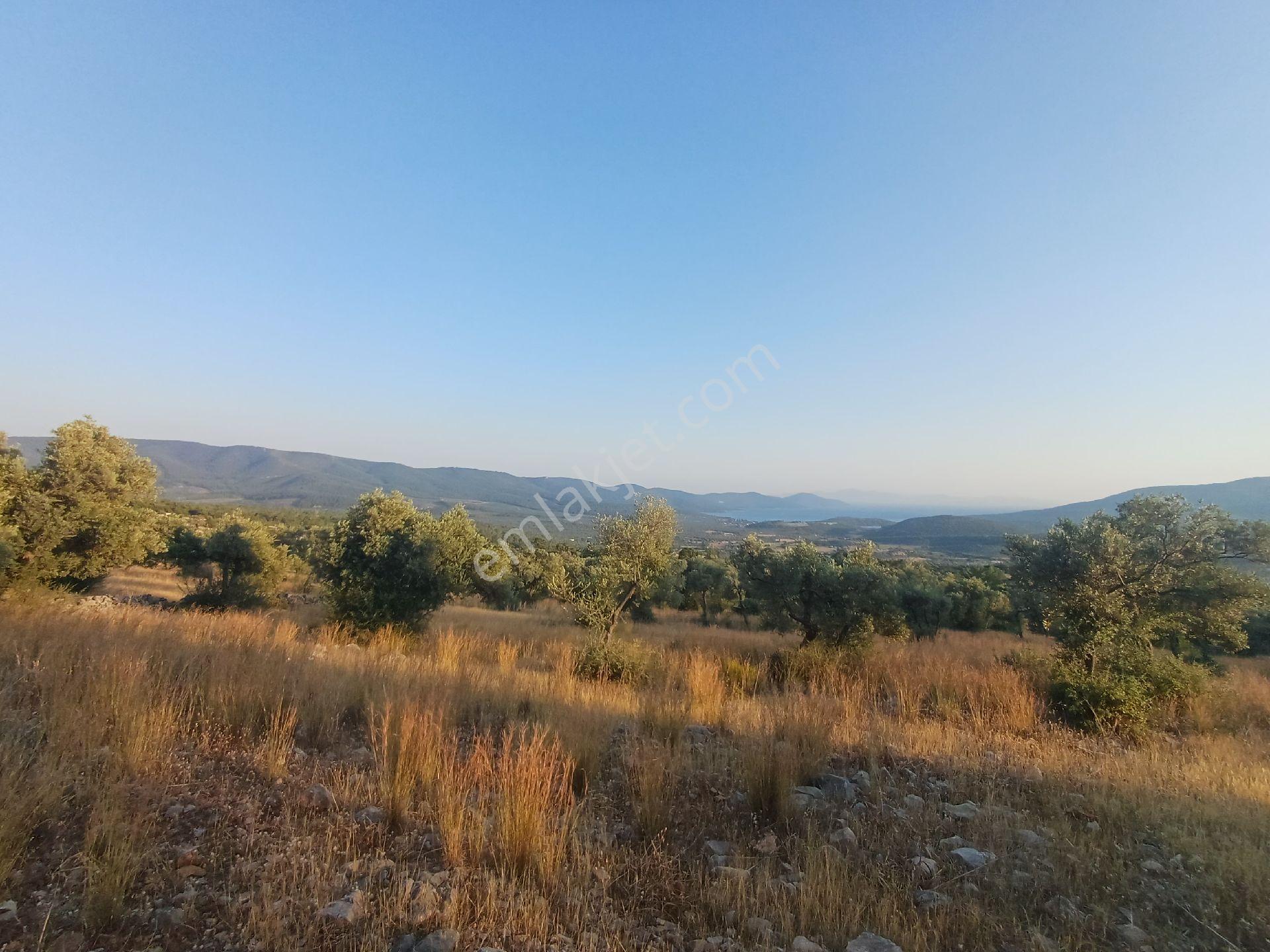 Kazıkli Mahallesi'nde Deniz Manzarali - Görsel 14