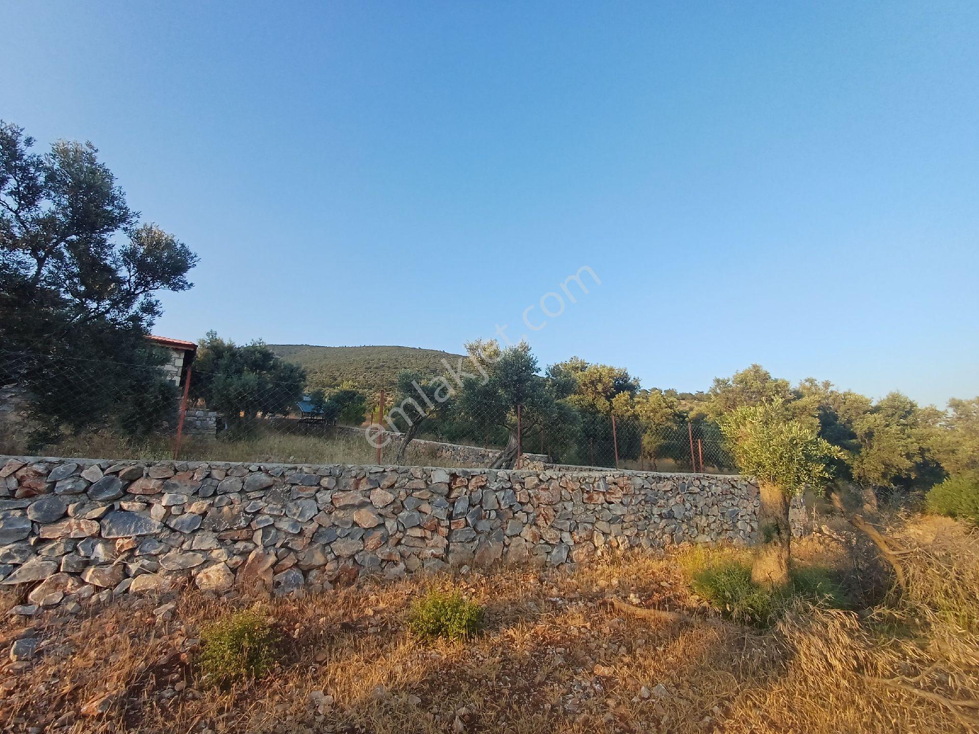 Kazıkli Mahallesi'nde Deniz Manzarali - Görsel 2