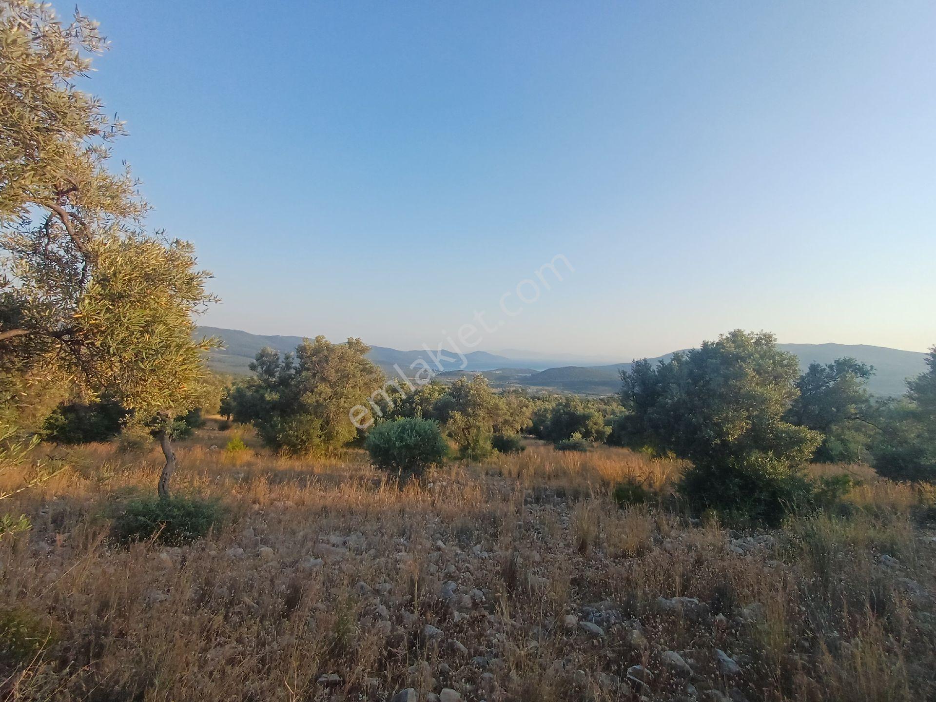 Kazıkli Mahallesi'nde Deniz Manzarali - Görsel 21