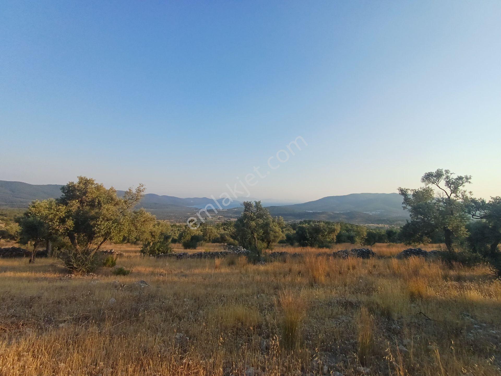 Kazıkli Mahallesi'nde Deniz Manzarali - Görsel 7
