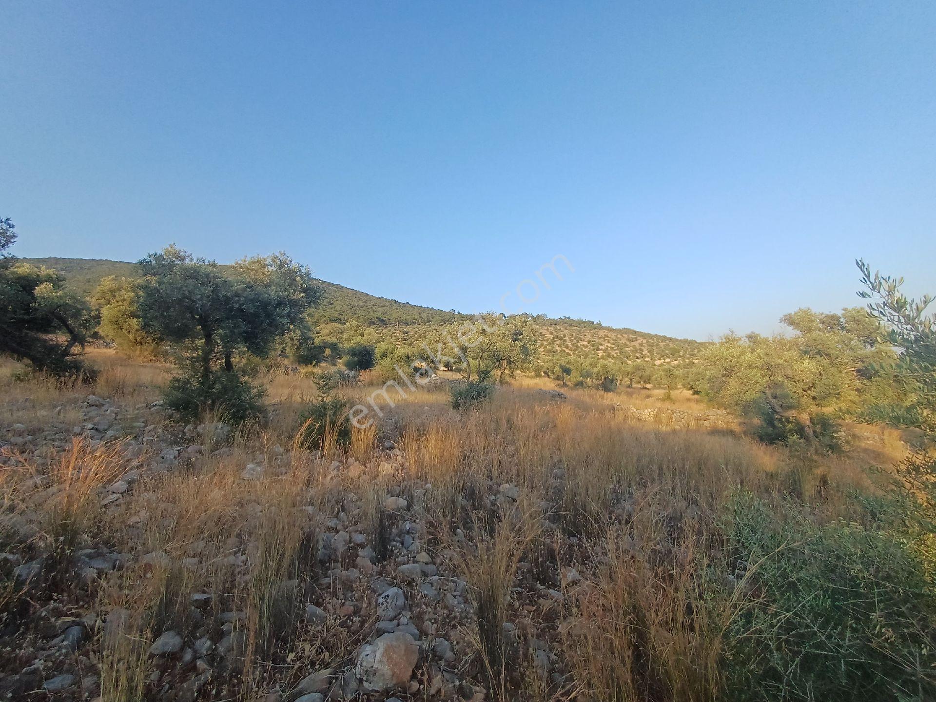 Kazıkli Mahallesi'nde Deniz Manzarali - Görsel 19