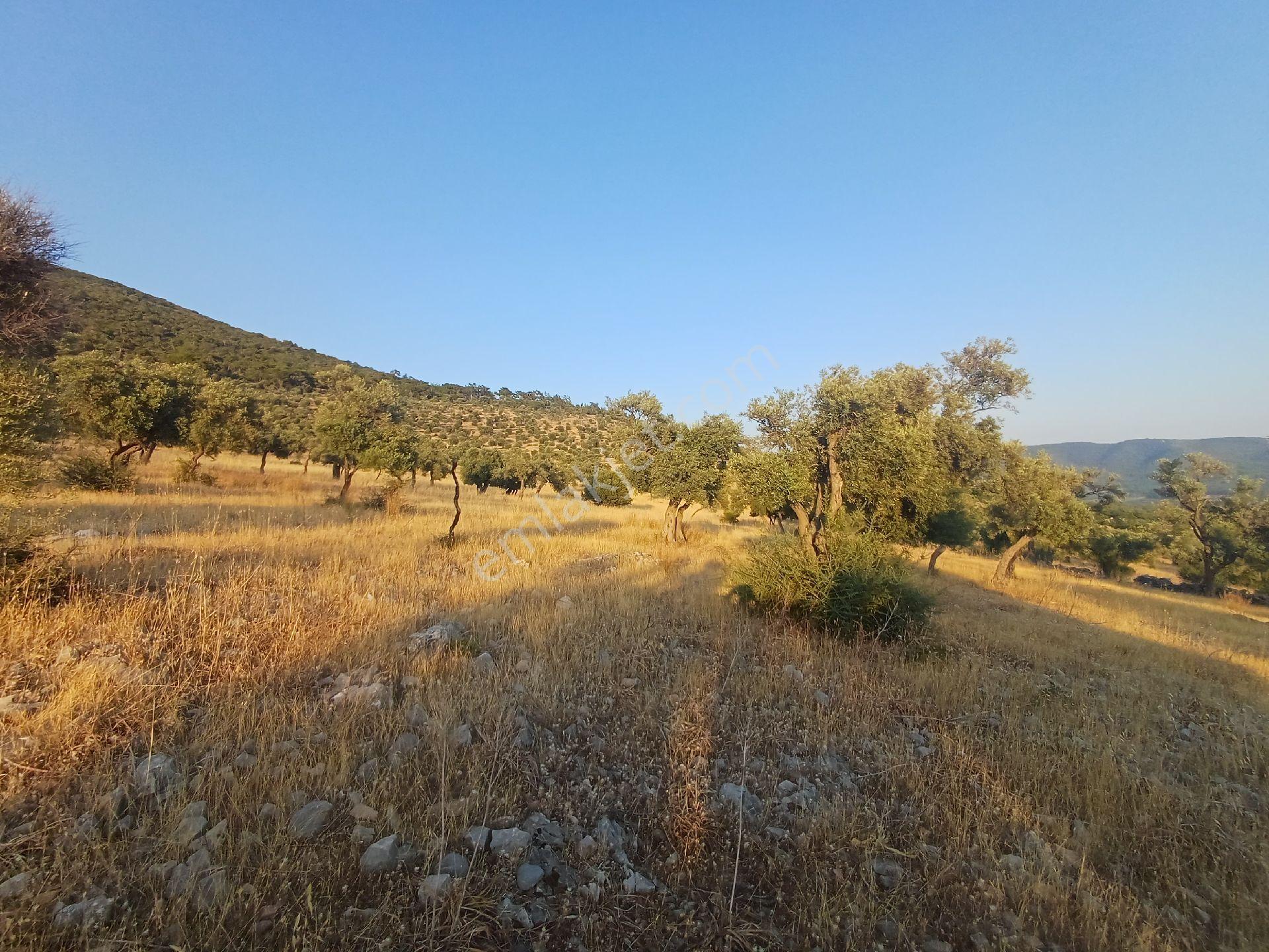 Kazıkli Mahallesi'nde Deniz Manzarali - Görsel 8