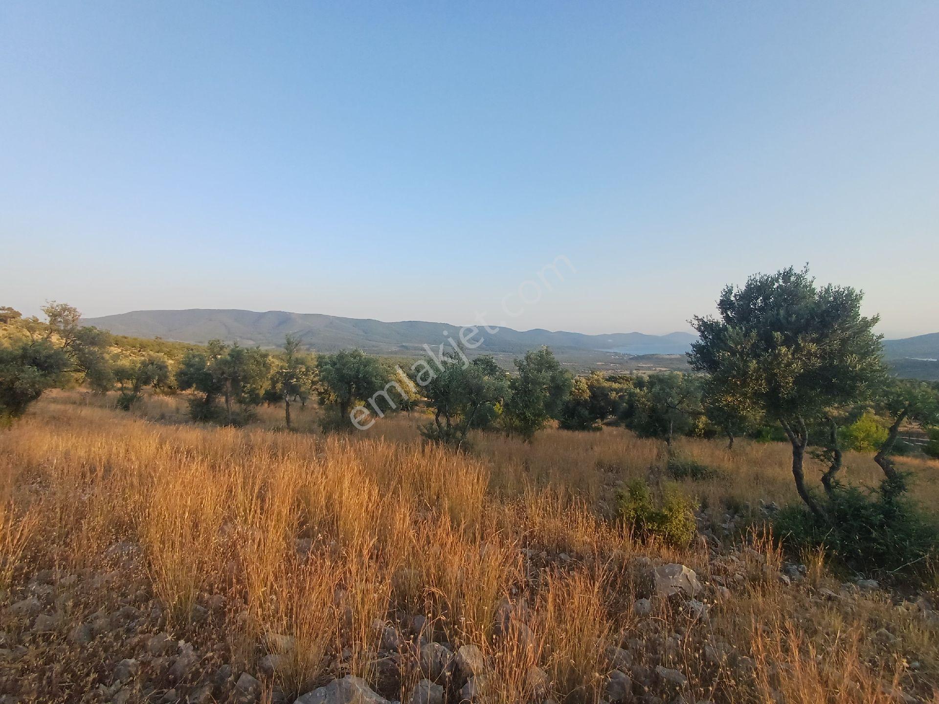 Kazıkli Mahallesi'nde Deniz Manzarali - Görsel 6
