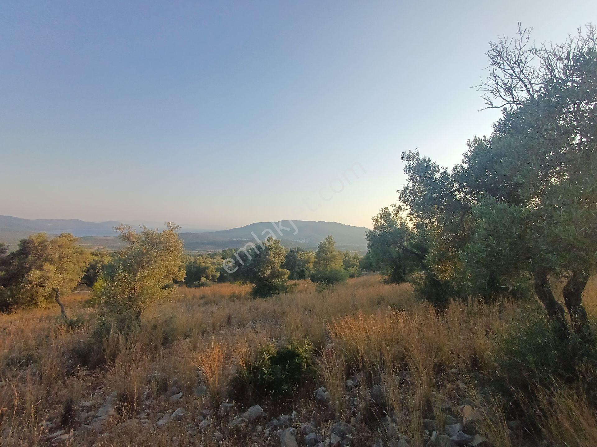Kazıkli Mahallesi'nde Deniz Manzarali - Görsel 15