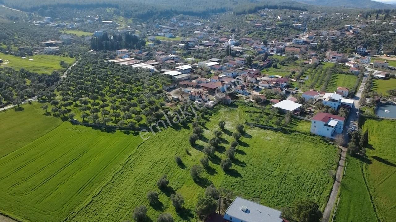Milas Yakaköy De 5600 M² Yola Sıfır Fırsat Tarla