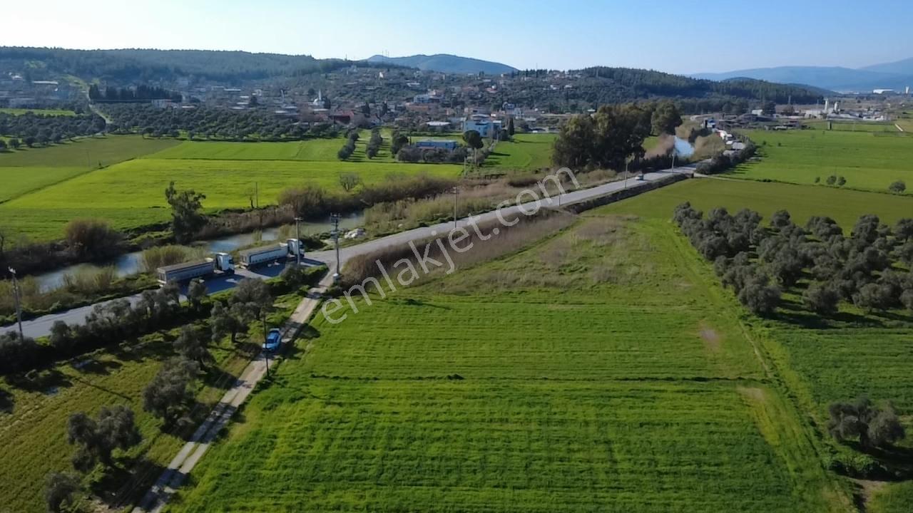 Milas Yakaköy De 5600 M² Yola Sıfır Fırsat Tarla - Görsel 32