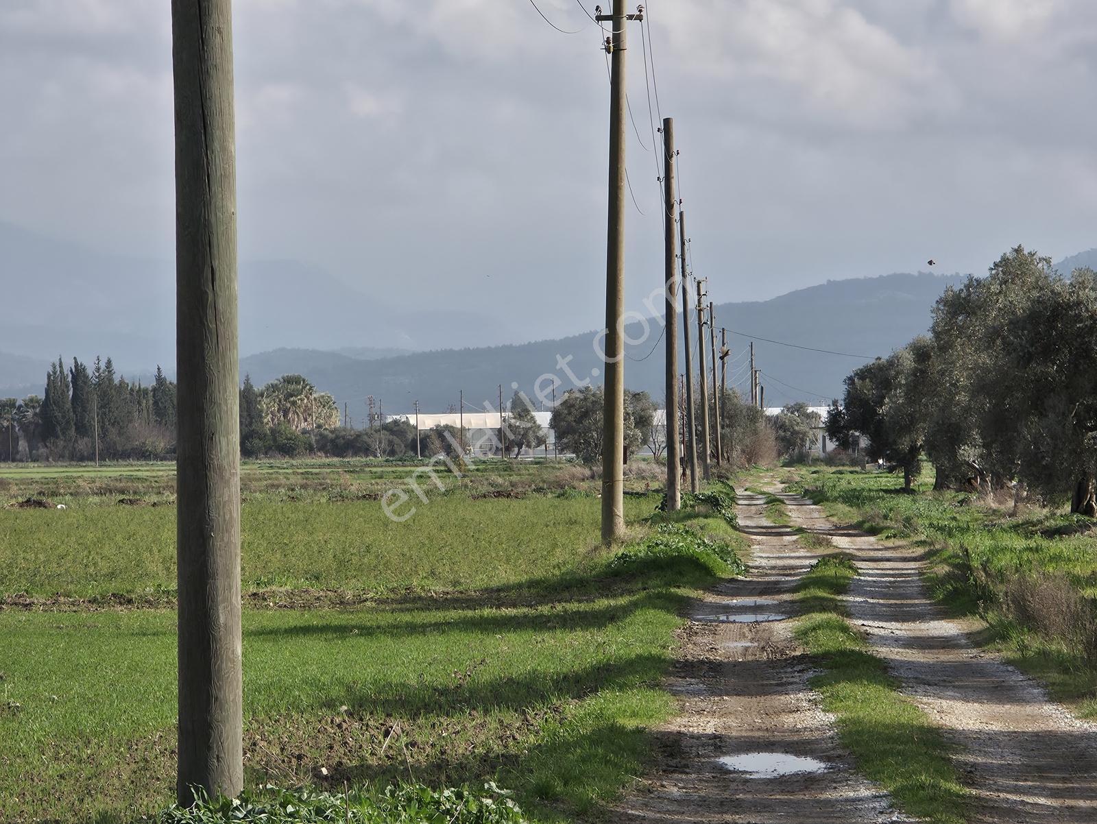 Milas Yakaköy De 5600 M² Yola Sıfır Fırsat Tarla - Görsel 10