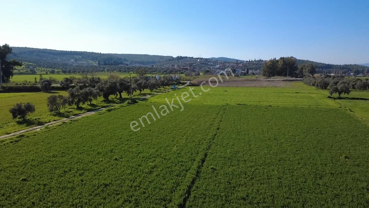 Milas Yakaköy De 5600 M² Yola Sıfır Fırsat Tarla - Görsel 25