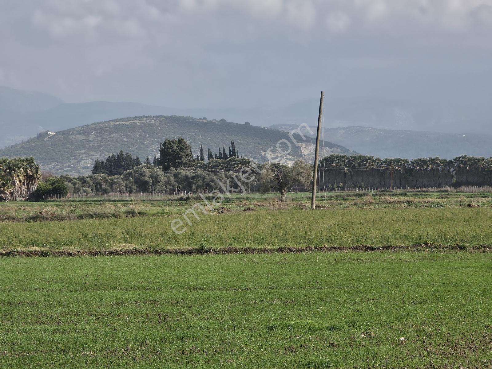 Milas Yakaköy De 5600 M² Yola Sıfır Fırsat Tarla - Görsel 22