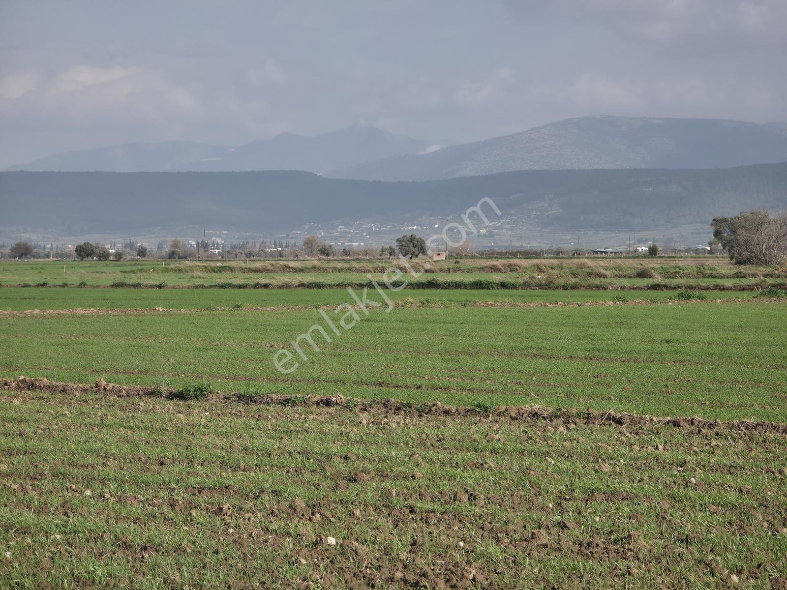 Milas Yakaköy De 5600 M² Yola Sıfır Fırsat Tarla - Görsel 20