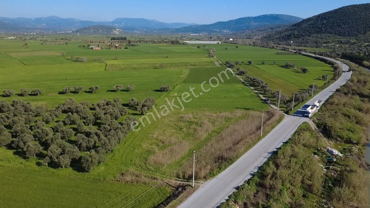 Milas Yakaköy De 5600 M² Yola Sıfır Fırsat Tarla - Görsel 35