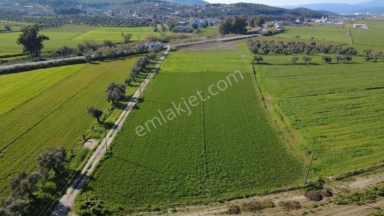 Milas Yakaköy De 5600 M² Yola Sıfır Fırsat Tarla - Görsel 2