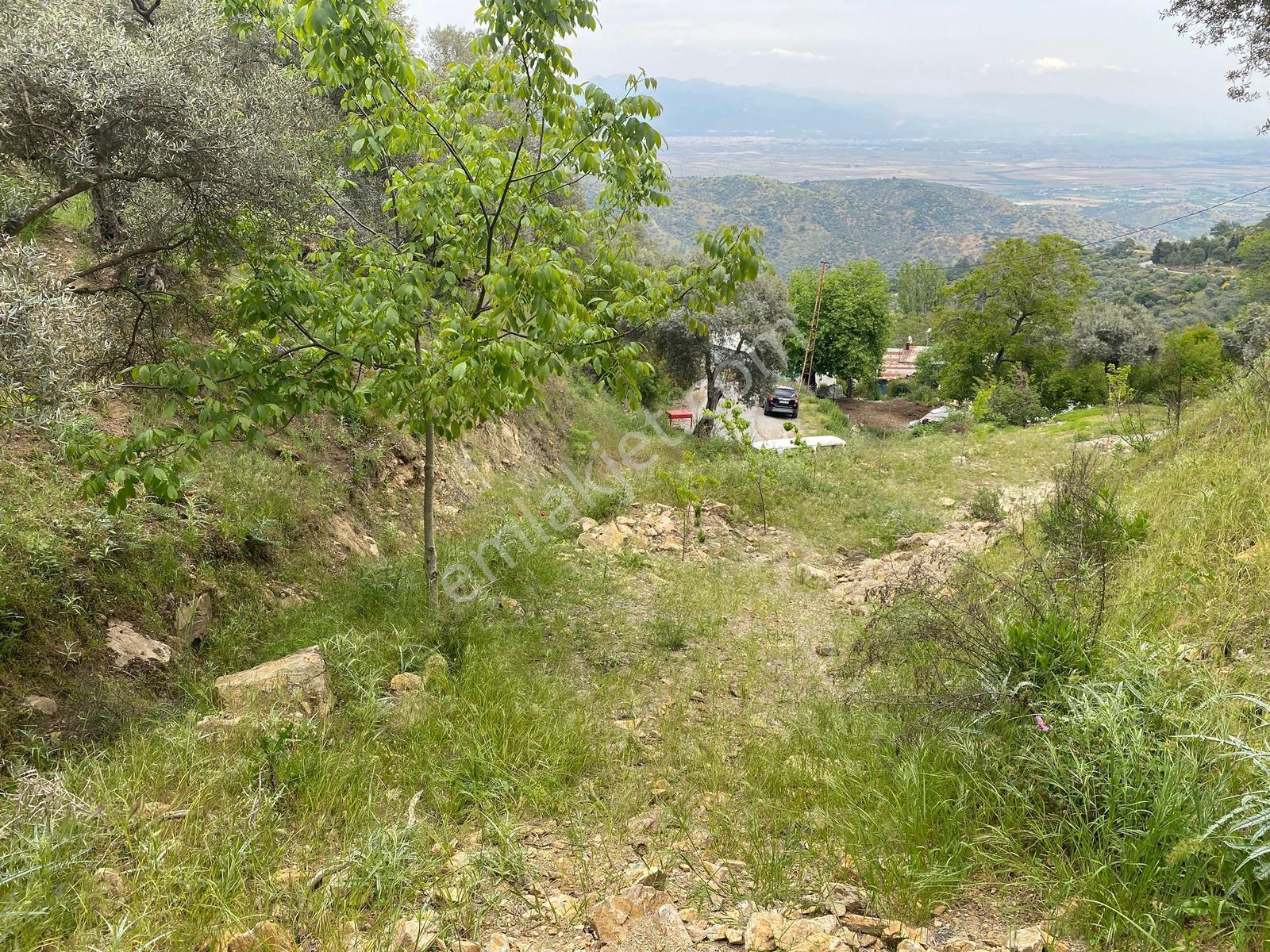 Koçarlı / Tığlılar Mahallesi'nde Yola Cepheli 604 M2 Arsa! - Görsel 10