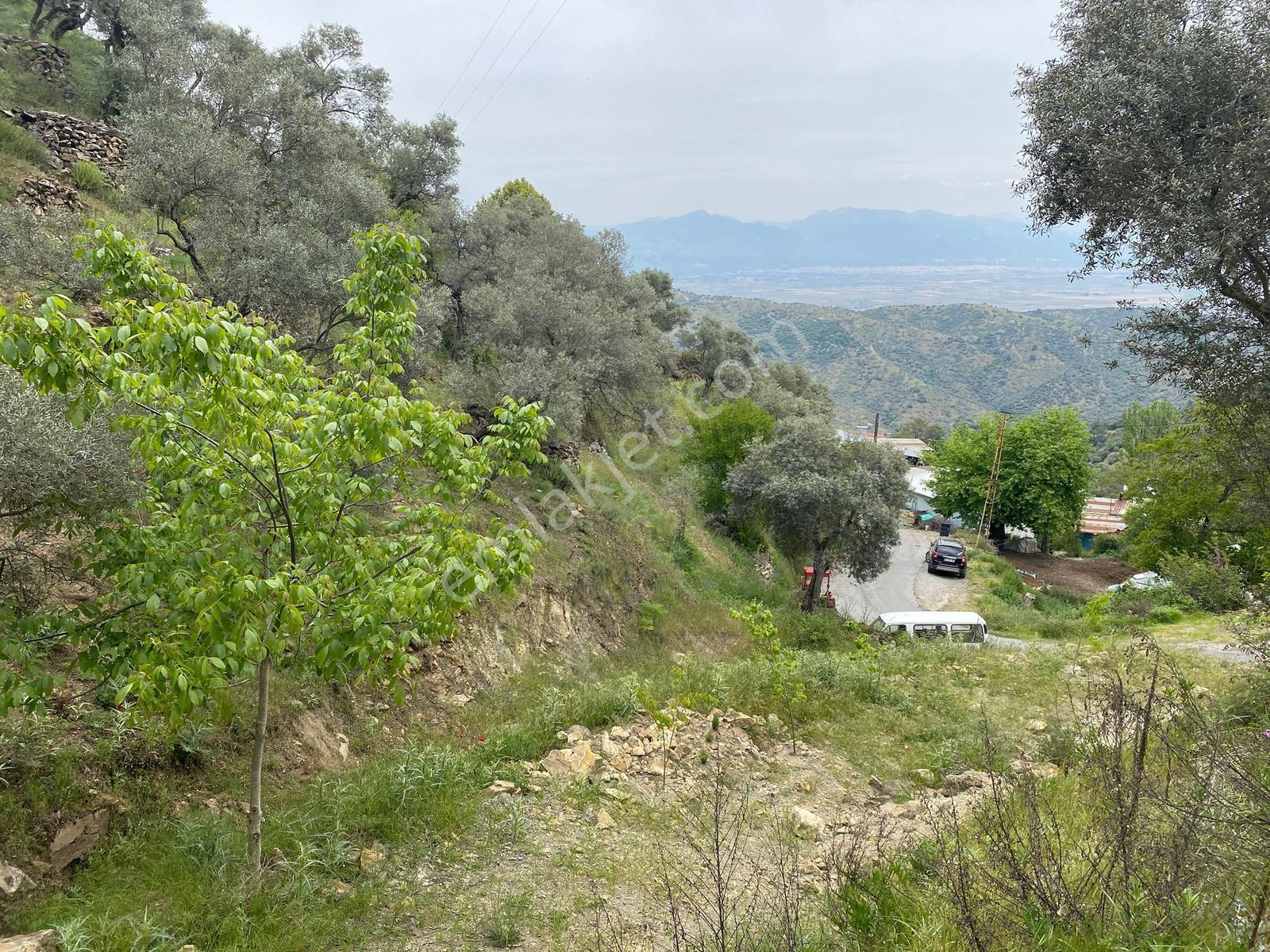 Koçarlı / Tığlılar Mahallesi'nde Yola Cepheli 604 M2 Arsa! - Görsel 6