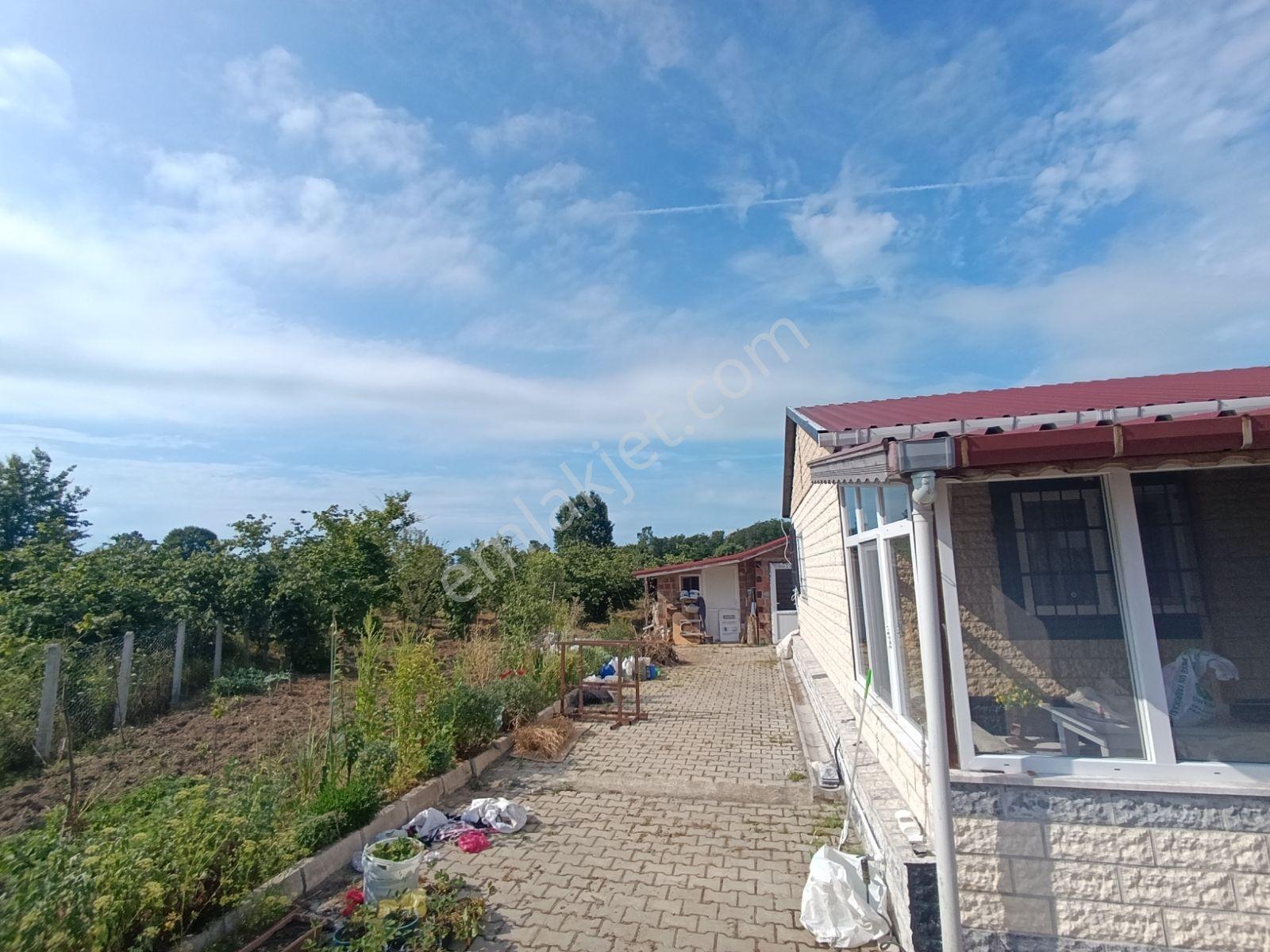 Trend Gayrimenkul'den Terme Akçay'dan 3114m2 Satılık Arsa - Görsel 9