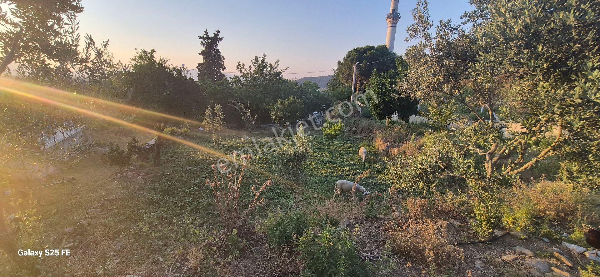 Satılık Köy Evı - Görsel 10
