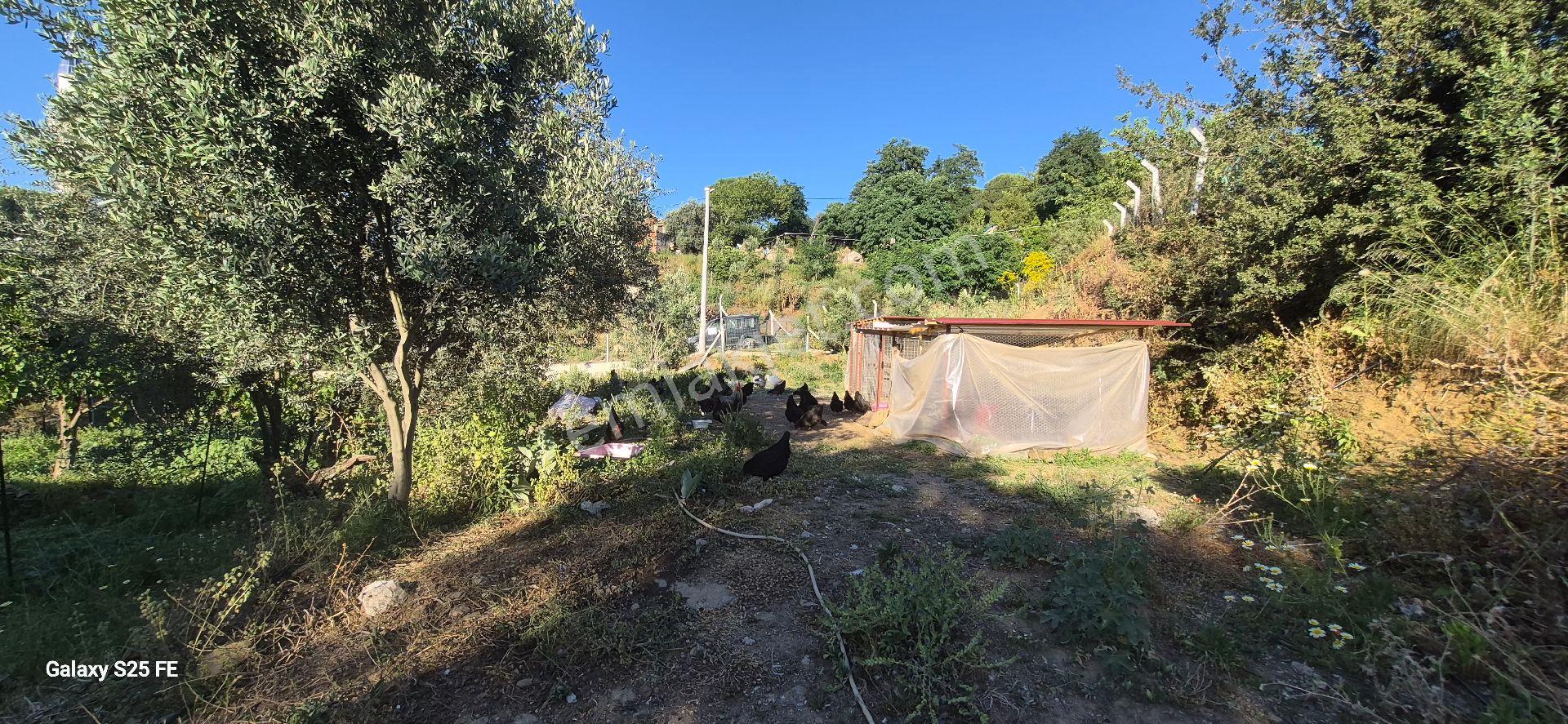 Satılık Köy Evı - Görsel 21