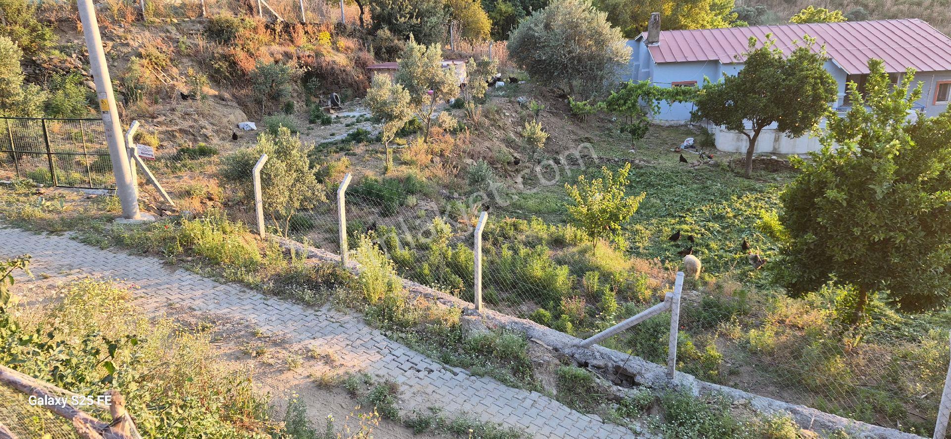 Satılık Köy Evı - Görsel 13