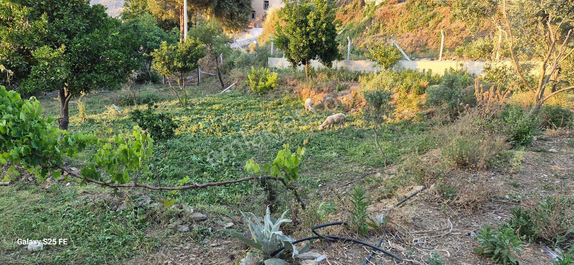 Satılık Köy Evı - Görsel 7