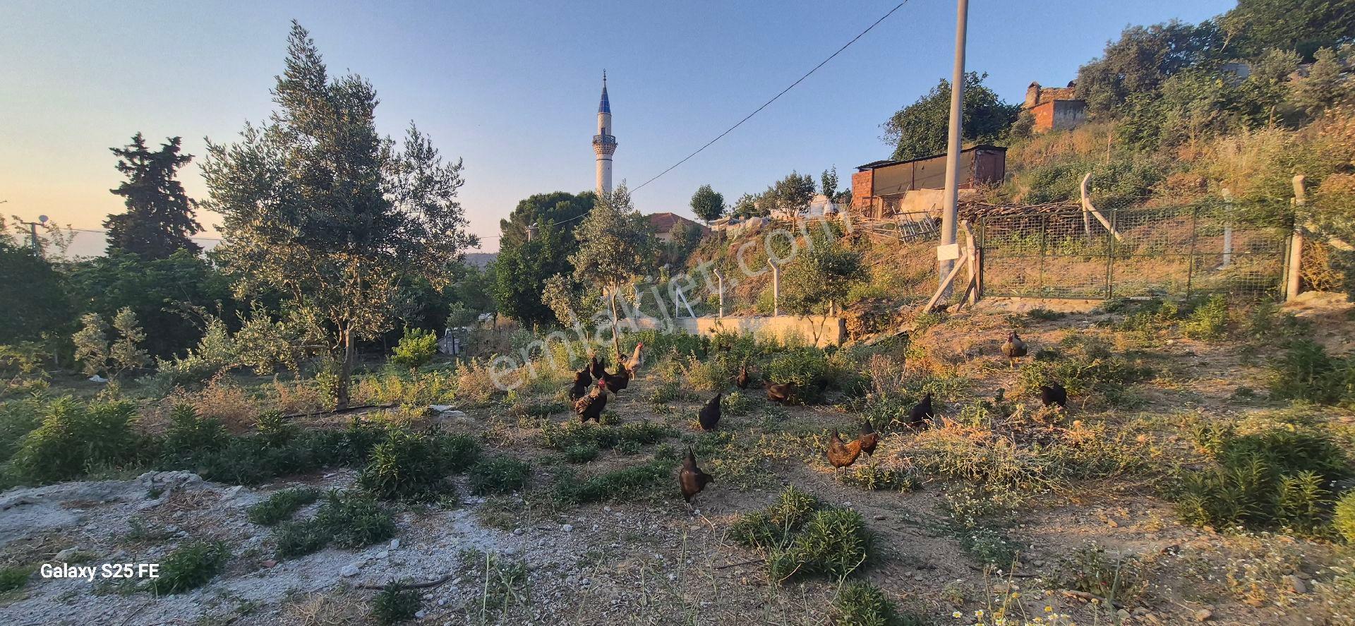 Satılık Köy Evı - Görsel 9