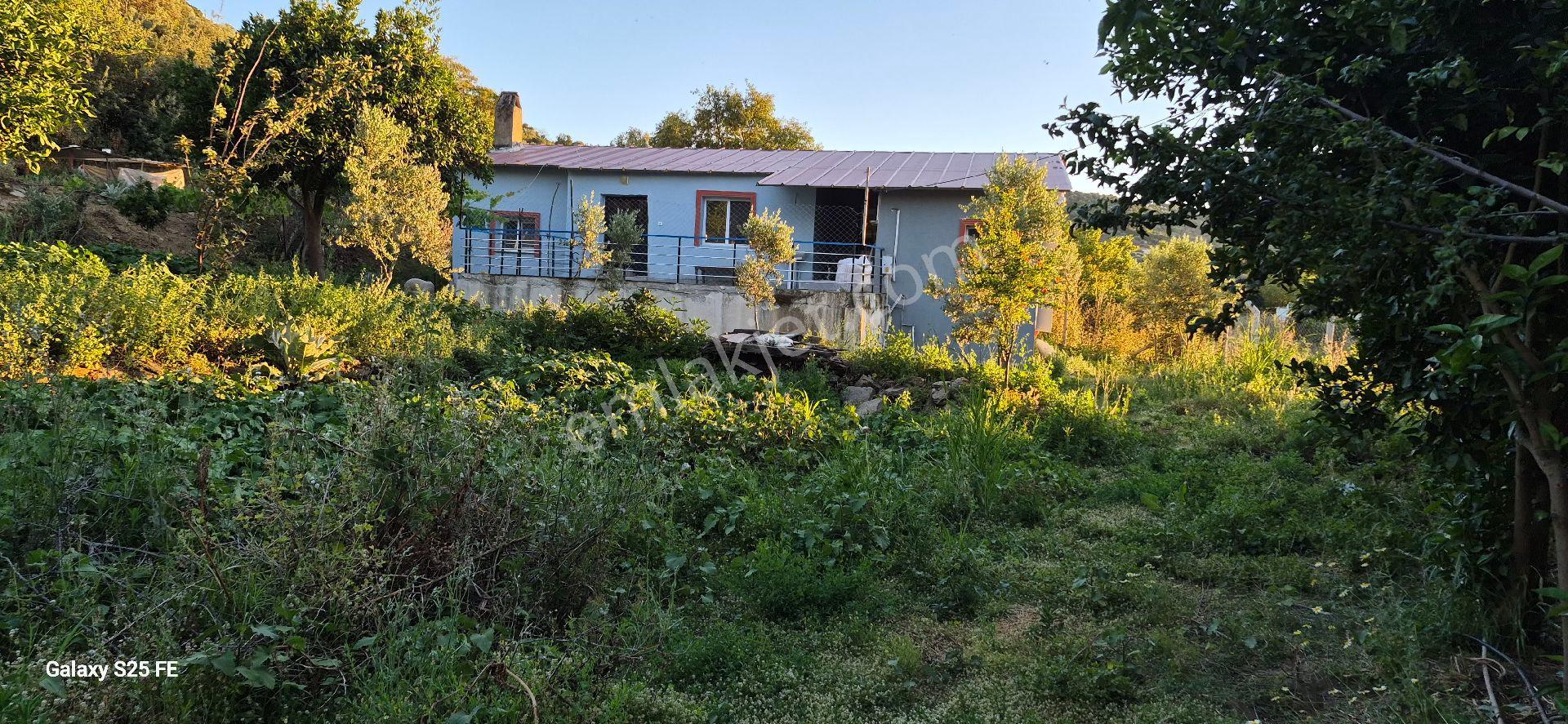 Satılık Köy Evı - Görsel 17