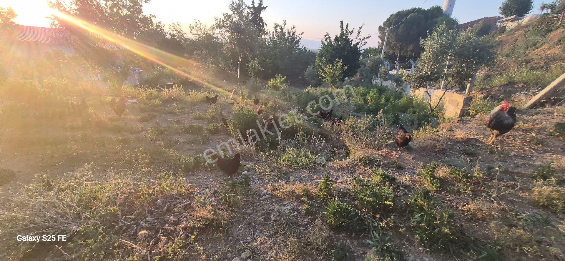 Satılık Köy Evı - Görsel 12