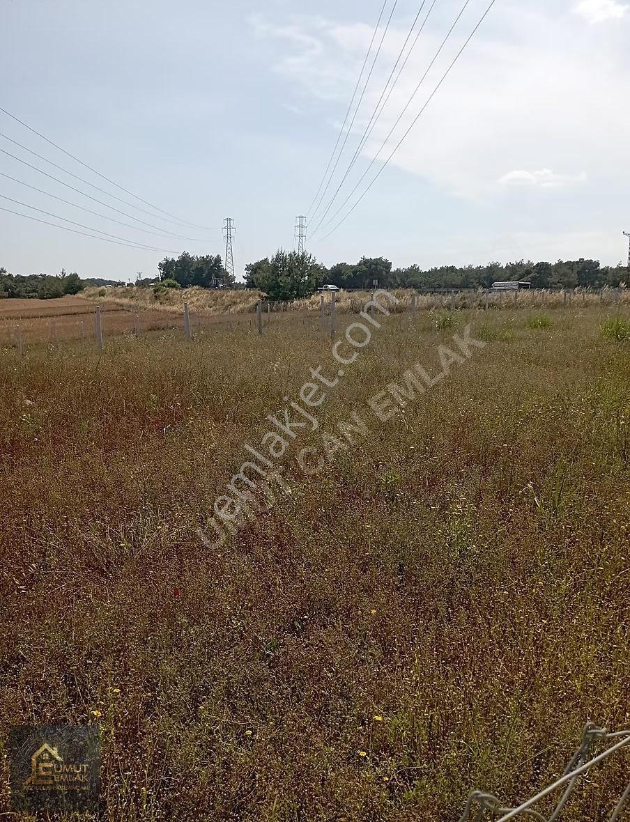 Kozan Yolu Üzerinde Telle Çevrili Tapulu Arsamız Satılıktır - Görsel 11