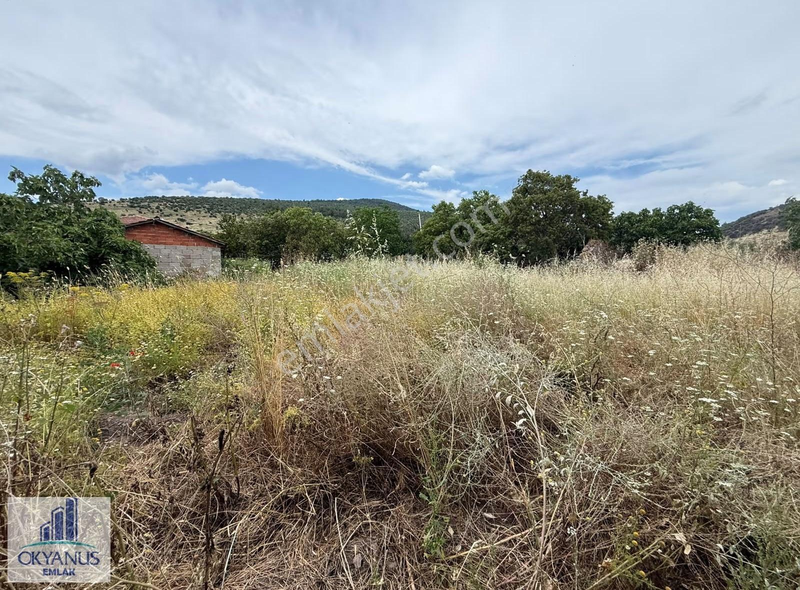 Sarıalan Da 808 M2 Arsa, 2.5 Kat İmarlı - Görsel 5