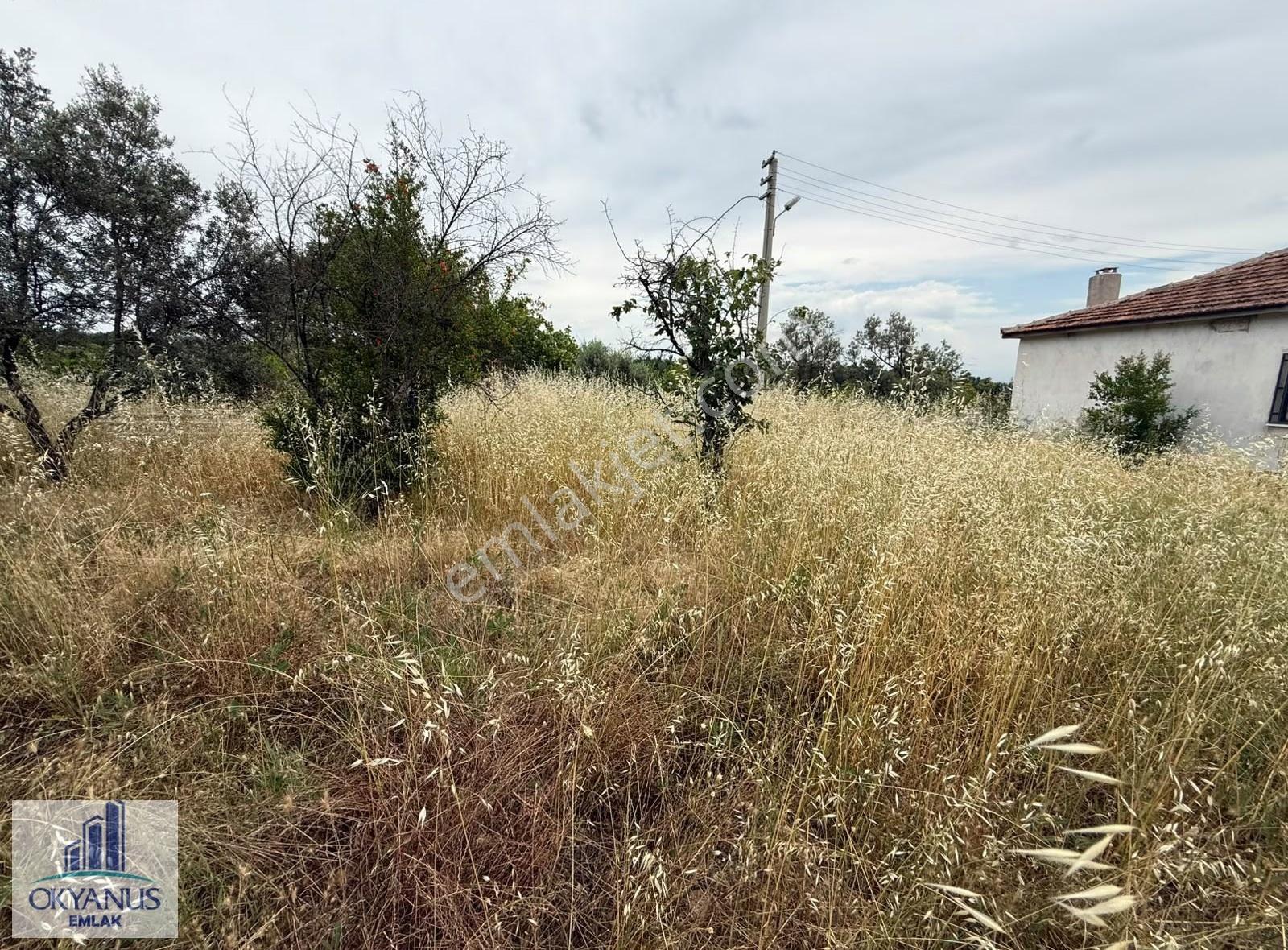Sarıalan Da 808 M2 Arsa, 2.5 Kat İmarlı - Görsel 6