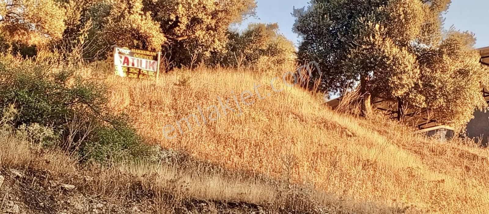 Koçarlı Gündoğan Mahallesinde Konut İmarlı Satılık Arsa - Görsel 4