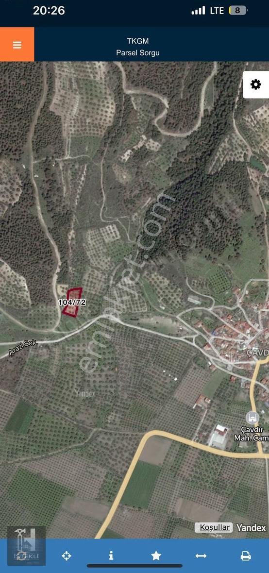 İstekli Emlak'tan Çavdır Köyü Yanında Satılık Zeytinlik - Görsel 6