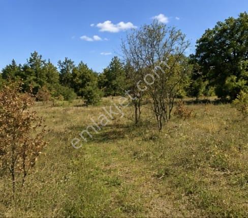 Dursunbey,de Villa Projelerine Yerleşime Yakın Harika 2416 M² - Görsel 3