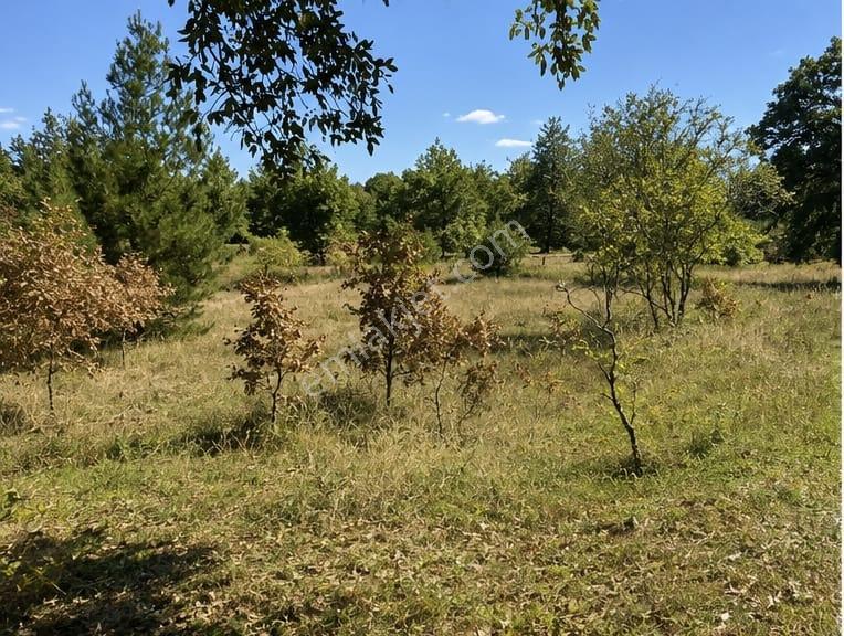 Dursunbey,de Villa Projelerine Yerleşime Yakın Harika 2416 M² - Görsel 2