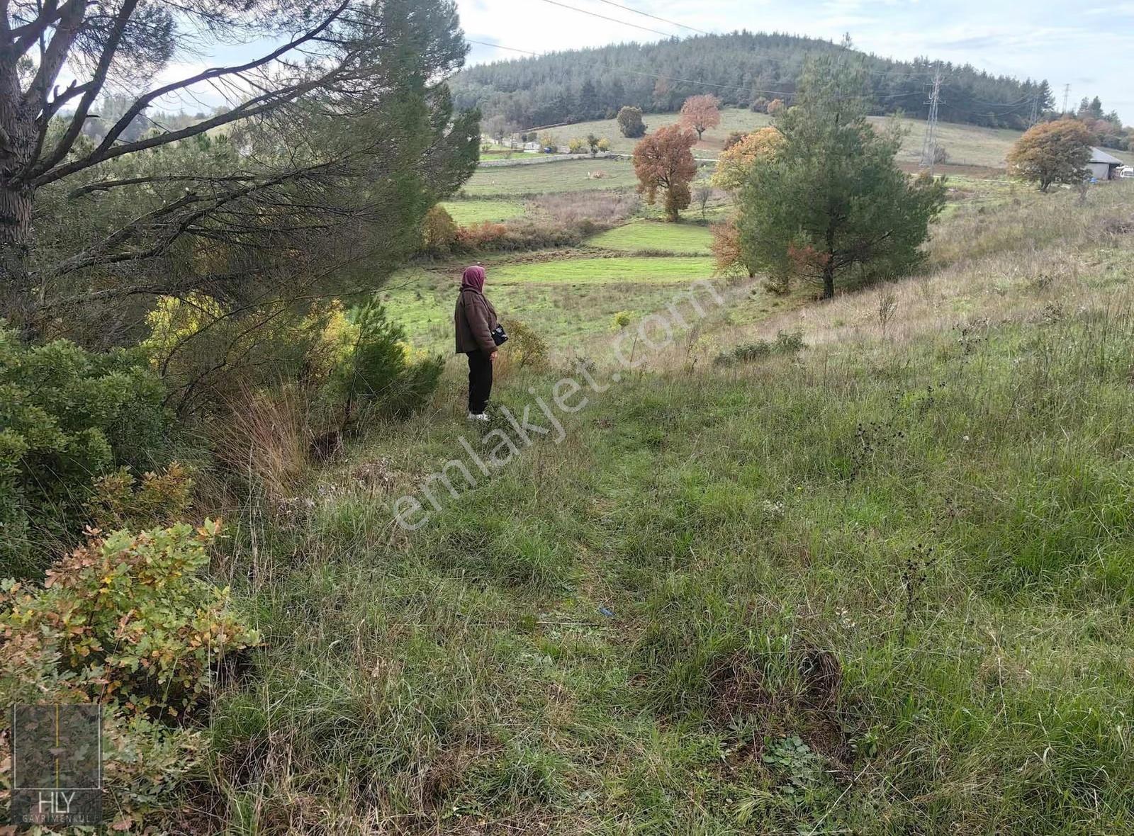 Hly Gayrimenkulden İvrindi Gökçeyazı Da 9625 M2 Satılık Tarla - Görsel 8