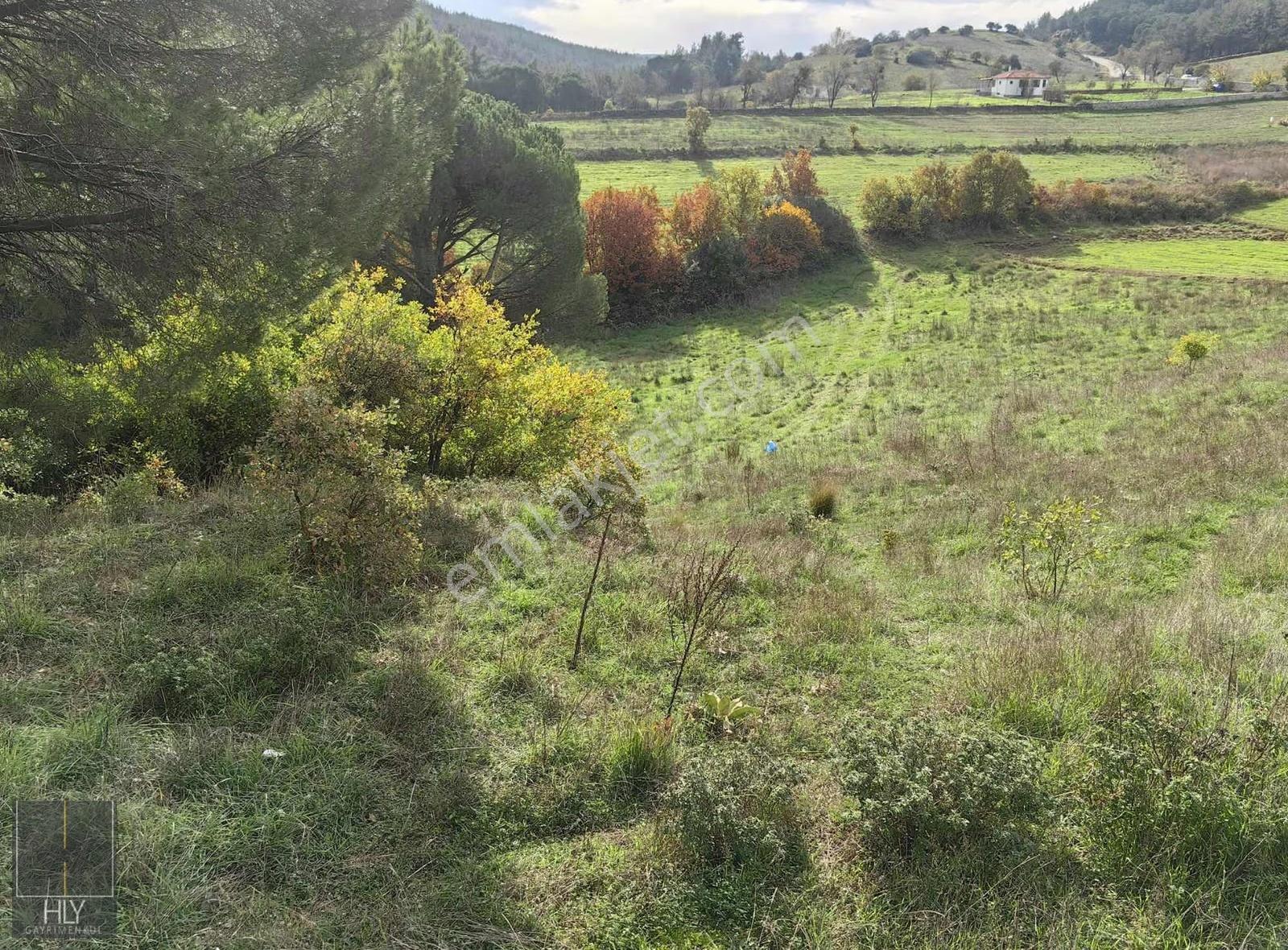 Hly Gayrimenkulden İvrindi Gökçeyazı Da 9625 M2 Satılık Tarla - Görsel 2