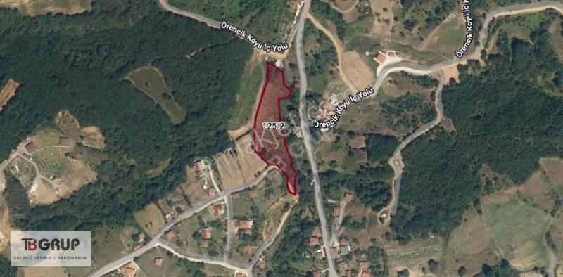 Yalova Altınova Örencik'te Satılık 6 Dönüm İmarlı Arsa - Görsel 4