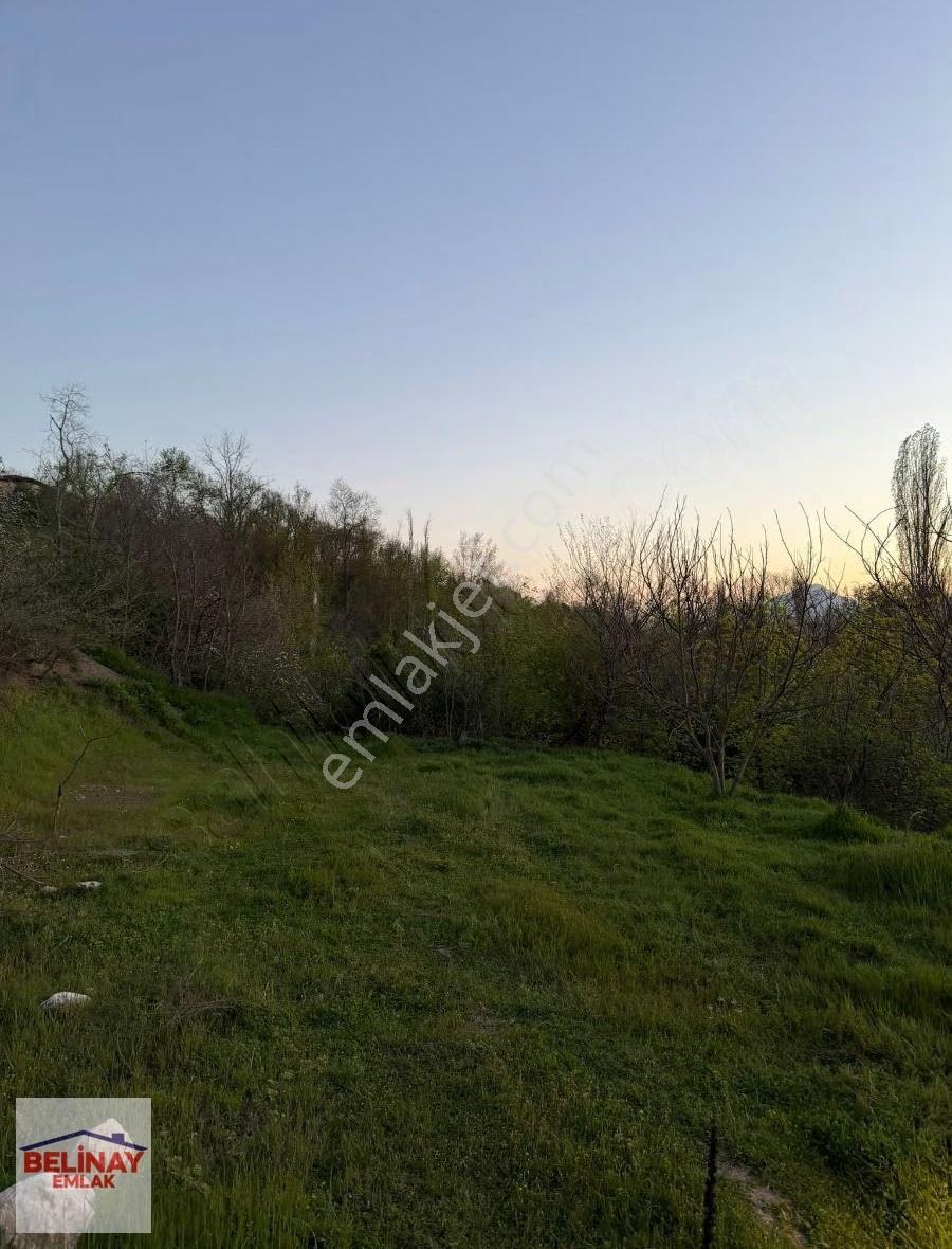 Gölpazarı Çımışkı Köyünde Köy İçinde 415 M2 Yatırımlık Arazi - Görsel 5