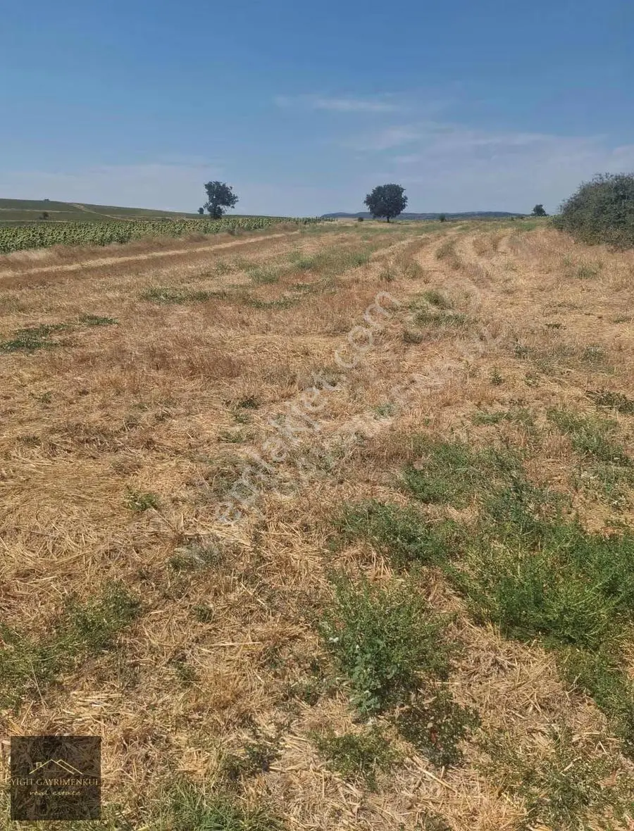 Edirne Enez Büyükevren Satılık Tarla 1367 M2