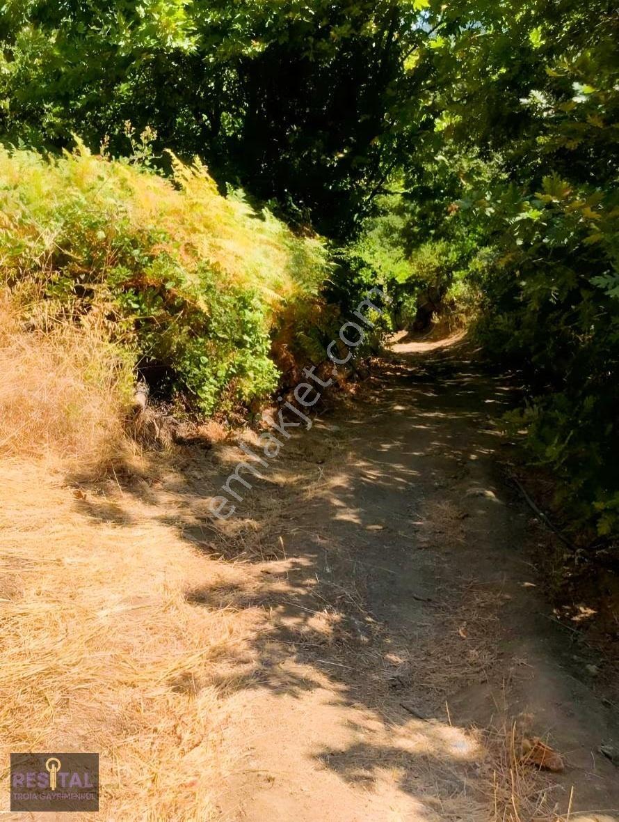 Çanakkale Biga Yolindi Köyünde Satılık Harıka Konumda Tarla