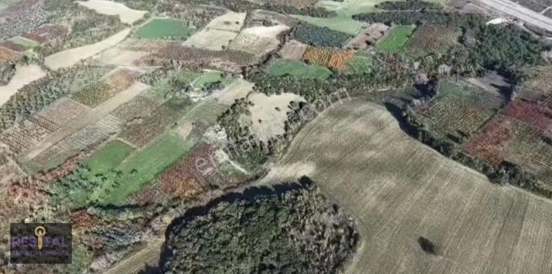 Umurbey'de 14.069 M² Stratejik Yatırım Arazisi