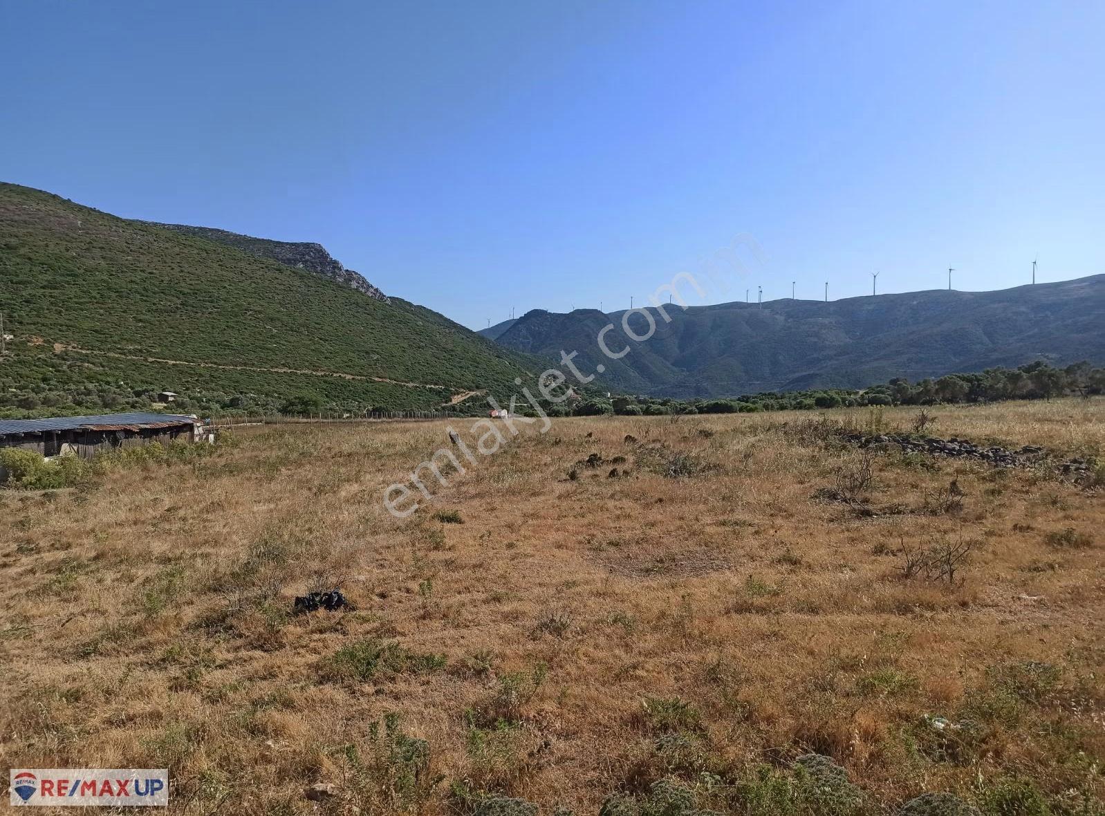 İzmir Karaburun Bozköy'de 2994 M² Arazili, 148 M² Taş Ev - Görsel 19
