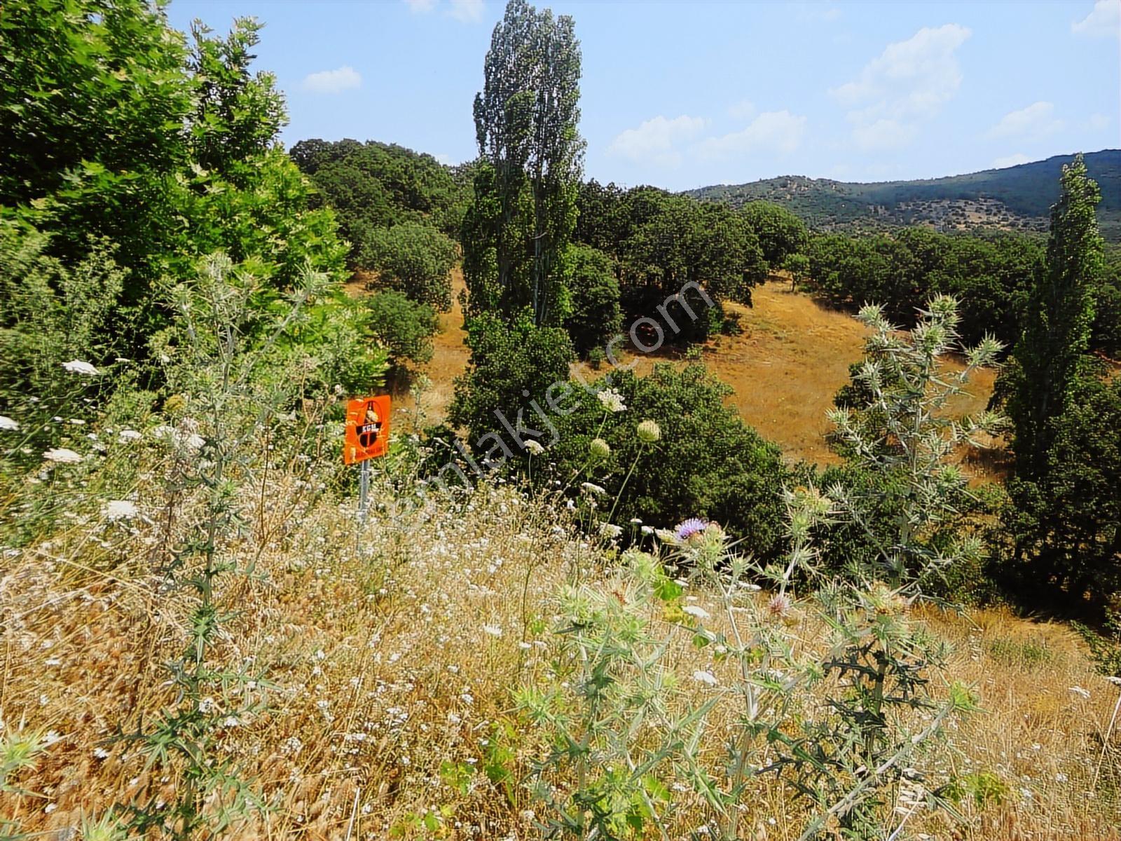 Balıkesir Edremit Yoluna Cepheli 19.853m2 Değerli Fırsat Arazi - Görsel 17