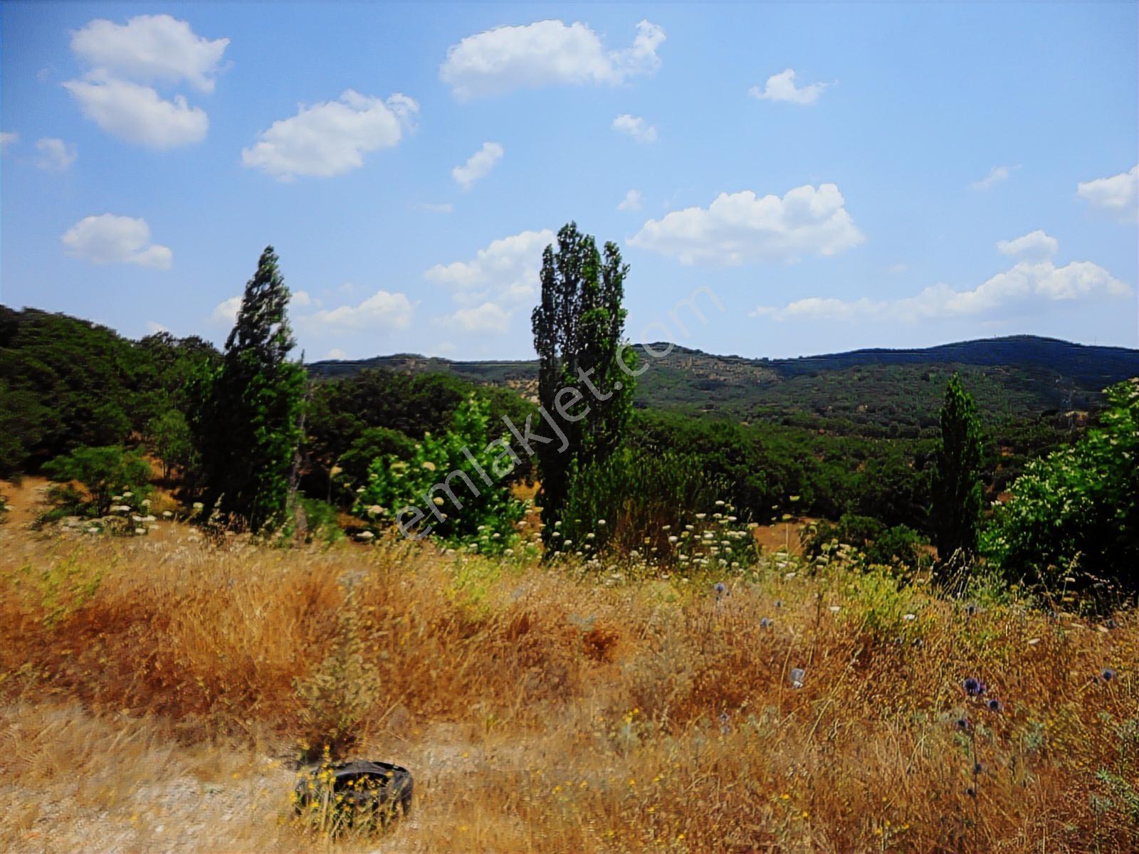 Balıkesir Edremit Yoluna Cepheli 19.853m2 Değerli Fırsat Arazi - Görsel 5