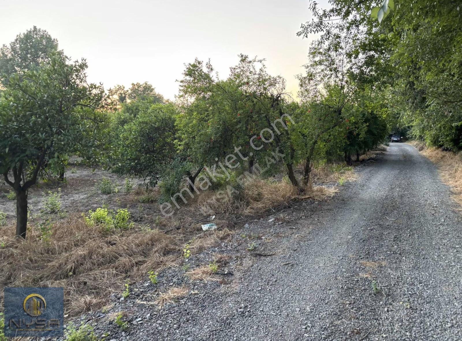 Nysa Emlak'tan 250 M2 İnşaat İzni Bulunan 4.326 M2 Satılık Tarla - Görsel 9